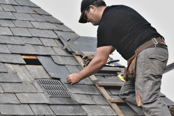 Shingle Roof Repair & Replacement